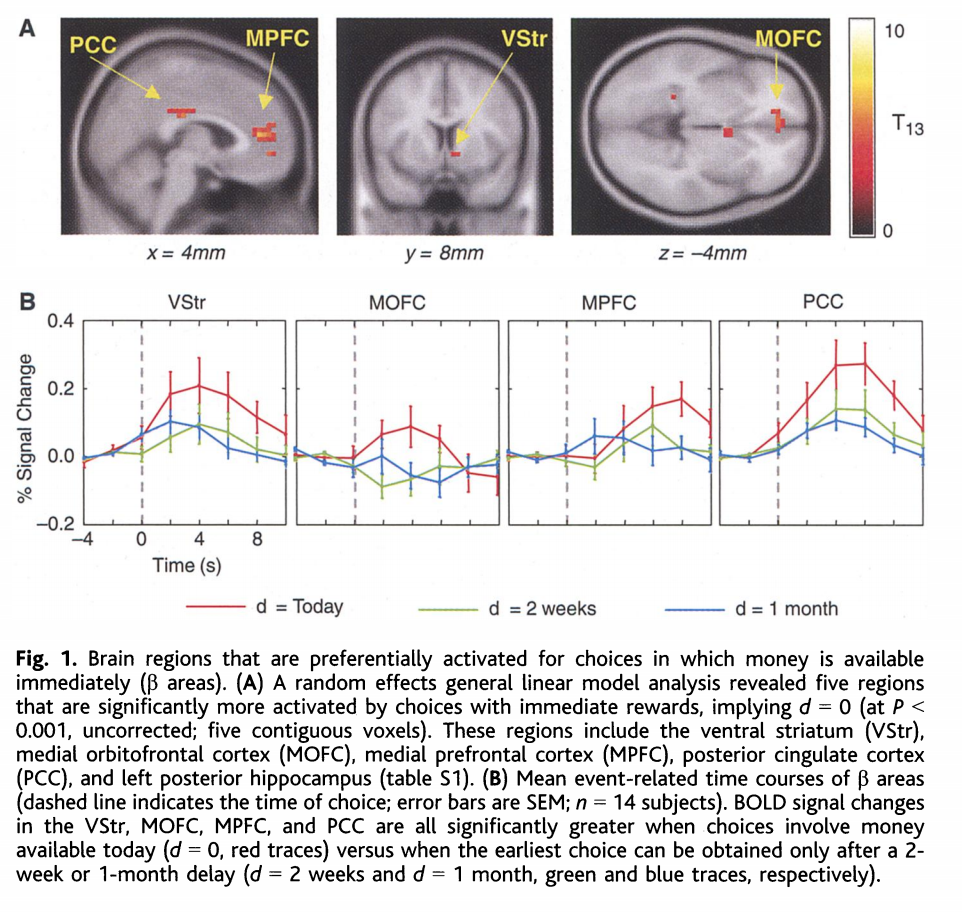 limbic-rewards